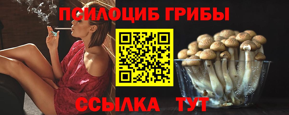 Галлюциногенные грибы мухоморы  Вход с VPN  Лесной 